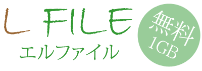 LFile